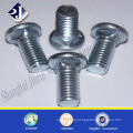 Good Service DIN603 Zinc Plated Carriage Screw